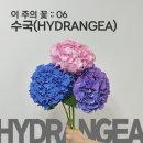 평내로167 이미지