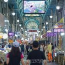 단양읍 도전리 공원