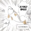 포도네일