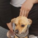 옥포성지중학교 이미지