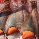 동진수산 이미지