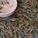 서산동부전통시장(동부시장) 이미지