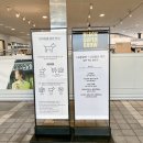 부산 기장 롯데 아울렛 동부산점 행사 다녀온 후기