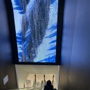 아이디통상 | KMI 한국의학연구소 광화문검진센터 종합 건강검진(실버) 후기