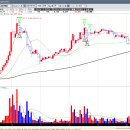 (주)서연그룹 이미지