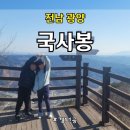 국사봉랜드 | 전남 광양 매화꽃, 편백나무 숲, 철쭉축제 힐링하기 좋은 국사봉 등산후기(24.3)