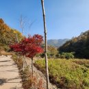 화순세량지협동조합 이미지