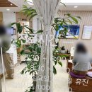 화인가정의원 이미지