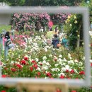 장미원입구 이미지