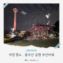 미디어아트<오로라를 | 부산 가볼만한곳 용두산공원 야경 명소 부산타워 전망대 입장료