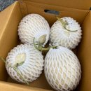 춘천원예농업협동조합 이미지