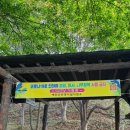 예당관광지 B-야영장 이미지