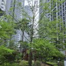 화서역파크푸르지오부동산중개 | 화서역 파크 푸르지오는 지금 빨간불-가두리부동산에 대한 호소문