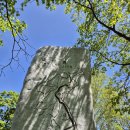 평창 오대산 중대 소종 | 한강기맥 01구간 평창 오대산 비로봉(五臺山 毘盧峰 1565.3) 2026. 05. 16.
