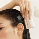 Point-봄의 향 이미지