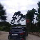 나무달쉼터 이미지