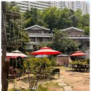 한라산도새기 이미지