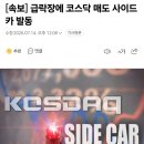 시즌 1912호 매도 사이드카 발동 이미지