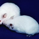 메디컬조의원 이미지