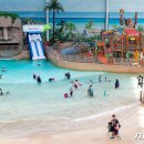 롯데워터파크(스파) 이미지