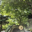 여부초밥 춘천후평점 이미지