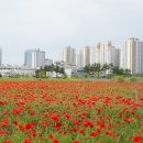 꽃밭주유소 이미지