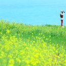 물음표 - 양산시 화합10길 9-1 | 물음표
