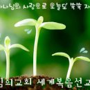 닮은사람들 Daum카페