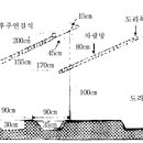 인삼 재배기술-본밭 관리 이미지