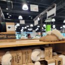 다니엘목장 | 먹거리 풍성한 트레이더스 12월 마지막주 신상품 할인상품