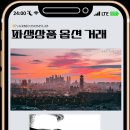 옵션(OPTION) 이미지