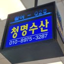 용이동 소로 2-674 | 노량진 모듬회 맛집 청명수산 겨울맞이 방어모둠회 후기