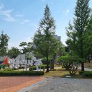 조운목장 이미지