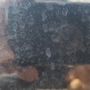 라이온셀프세차장 이미지