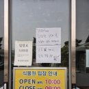 바오밥나무 | 화성 바오밥식물원 베이커리&amp;카페 에 다녀왔어요. 화성 바오밥나무. 바오밥카페 후기