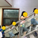 글빛정보도서관 | [글빛_후기] 2025년 글빛정보도서관 여름독서교실 <사서쌤이 들려주는 그리스로마신화 이야기>