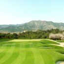 아리솔cc 이미지