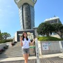 미스동백 이미지