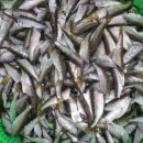 웃골 경로당 이미지