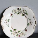 도그 블라썸 이미지