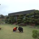 섬마을 펜션 이미지