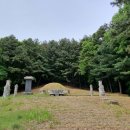 풍창부부인조씨묘 이미지