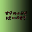 평촌 호산나치과의원 이미지