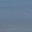 유한검도관 이미지