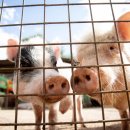 음악과 의학 이미지