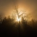 시티번역행정사사무소 이미지