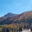 태백산맥휴게소