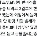 케이크퍼즐
