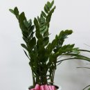 진성종합건설(주) 이미지