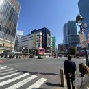 길거리 풍경스케치 | [도쿄여행 8편] 메이지신궁 참배 코스｜하라주쿠 크레페 맛집 MOMI&amp;TOY'S (Day 4)